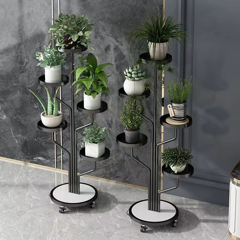 رف نبات فاخر🌿