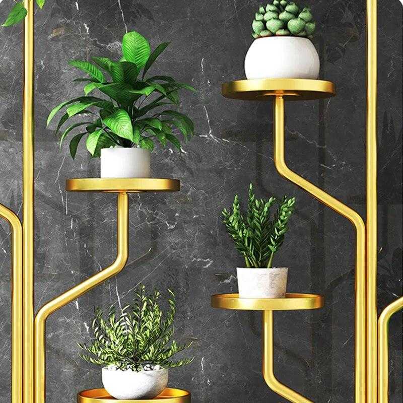 رف نبات فاخر🌿
