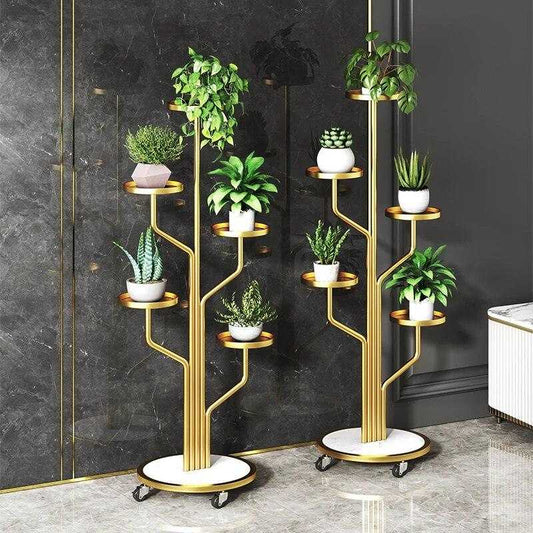 رف نبات فاخر🌿