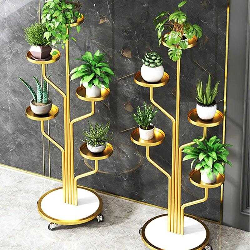 رف نبات فاخر🌿